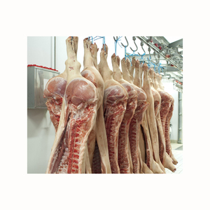 Nutritif 24 Mois Top Carcasses de Volaille Rôtie Vente Viande de porc congelée Fournisseur Origine Traitement du porc CONGELÉ DANS UNE CARCASSE COUPÉE À 4 VOIES - Product Image 3