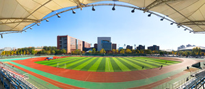 Gránulos de Relleno de Césped Artificial Premium para Campos de Fútbol, Césped Sintético y Aplicaciones de Paisajismo, Aprobado por la <span class=keywords><strong>FIFA</strong></span> 5000H - Product Image 3