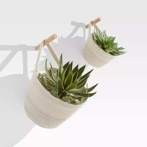 Jardinière en corde macramé contemporaine pour la décoration du salon, accessoires améliorant l'intérieur avec un accent sur les plantes vertes - Product Image 1
