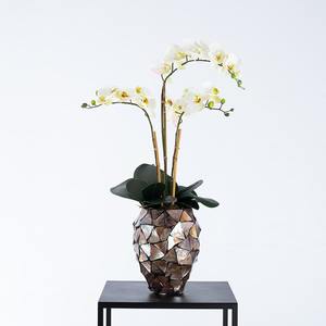 Producto superior caliente Capiz Madre de perla Cilindro redondo Florero Decoración de mesa Buen precio Vajilla Mesa de comida - Product Image 6