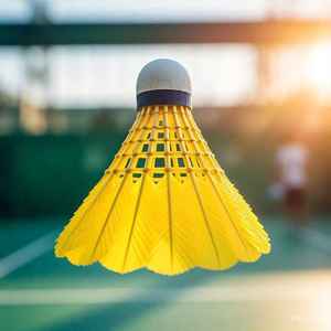 Volants de badminton personnalisés avec logo et emballage sur mesure pour unisexe, avec conception de logo personnalisée - Product Image 6