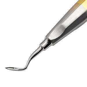 Elevadores de Raíces de Alta Calidad, Elevadores de Raíces Dentales Quirúrgicos de Acero Inoxidable con Logotipo Personalizado - Product Image 5