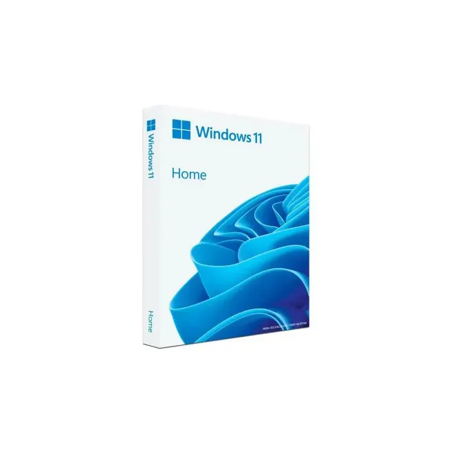 Microsoft Windows 11 Home (64 Bit, USB Flash sürücü)