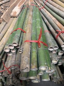 Varas de Bambú Secas 100% Naturales al por Mayor con Antiséptico, Tamaño Personalizado, Hechas en Vietnam - Product Image 6