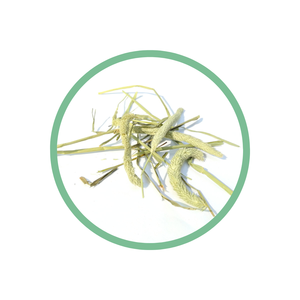 NordicPet Timothy Hay 2 kg Bolsa de plástico Suministros para animales pequeños - Product Image 1