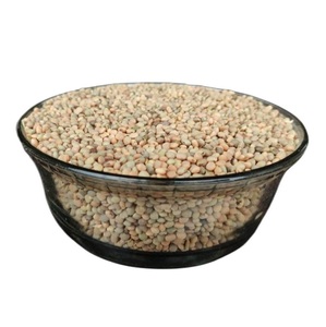 Graines de guar phali pour la production et l'exportation de gomme de guar - Product Image 3
