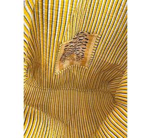 Fourre-Tout Réversible Écologique en Coton Grand Sac d'Épicerie Matelassé Élégant Bloc Imprimé Fabriqué à la Main Style Moderne Sac à Provisions Extra - Product Image 2