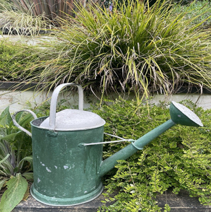 Regadera de metal premium diseñada para una hidratación constante que hace que las tareas de riego diarias sean suaves y sin esfuerzo. - Product Image 3