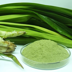 Poudre de feuilles de Pandan saveur verte naturelle de haute qualité prix bon marché approvisionnement en vrac en provenance du Vietnam - Product Image 1
