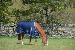 Navy <b>Medium</b> <b>Weight</b> Waterproof Horse <b>Turnout</b> <b>Rug</b> - Product Image 3