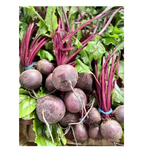 Meilleure vente : Betterave biologique fraîche, super-aliment riche en nutriments pour jus détox, smoothies, poudres et produits de bien-être - Product Image 3