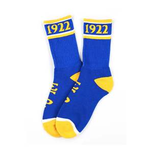 Chaussettes tricotées unisexes Sigma Gamma Rho pour l'hiver Logo de fond positionné - Product Image 1