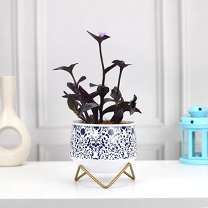 Jarrones de metal de estilo de lujo, jarrones de flores de metal de hierro de fábrica directa, flor de metal antiguo de hierro martillado personalizada - Product Image 2