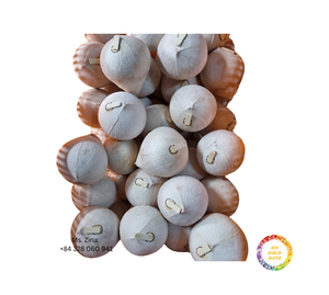 Coco fresco de corte diamante al mejor precio, fácil de abrir para beber con agua dulce cultivada en granja de Vietnam - Product Image 5