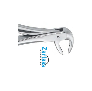 Exportadores y fabricantes de fórceps de extracción de acero inoxidable de alta calidad - Product Image 5