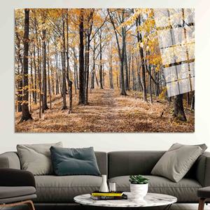Toile imprimée Forêt d'automne élégante : Art paysager naturel et paisible, Art sur verre trempé - Product Image 1