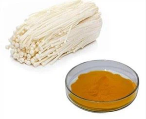 Plantación artificial de alimentos saludables de 25kg, Extracto de planta de hongo de leche de tigre de grado AA, en polvo de Malasia - Product Image 2