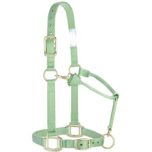 Licou de cheval en cuir de haute qualité, confort élevé, sac de cheval en gros - Product Image 5