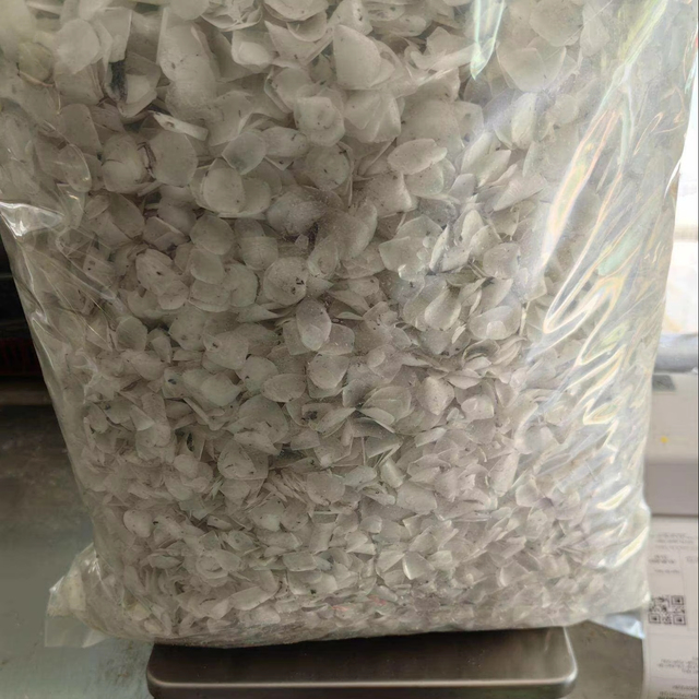 COLLAGEN AND GELATIN PRODUCTION MATERIAL | DRIED FISH SCALE EXPORT