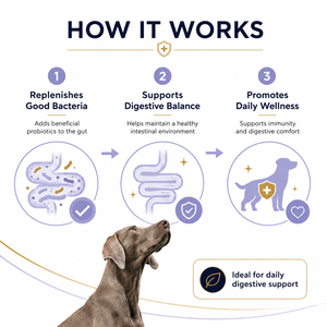 Poudre <span class=keywords><strong>Probiotique</strong></span> en Gros pour Chiens – Sachets Marque Blanche – 2,5 Milliards d'UFC Probiotiques et Prébiotiques <span class=keywords><strong>Inuline</strong></span> pour le Soutien Digestif des Animaux de Compagnie - Product Image 5