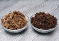 Alternative naturelle de sol pour les plantes de fabrication vietnamienne Fibre de coco pour le jardinage