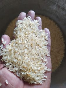 Arroz Parboilizado IR 64 5%, Producto de Primera Calidad - Product Image 3