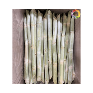 Palitos pelados de caña de azúcar congelados de primera calidad con dulzura natural, sin azúcar/Agua agregada, suministro a granel para fábricas de bebidas. - Product Image 1