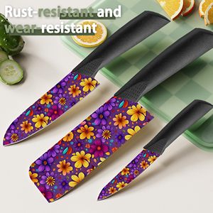 Novedades, Juego de Cuchillos de Chef Profesionales de Cerámica, 4 Juegos, Mango de Plástico para Negocios de Restaurantes, Envío Gratis, Ebay - Product Image 4