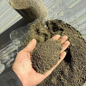 Repas de tournesol de haute qualité pour l'alimentation des animaux - Product Image 4