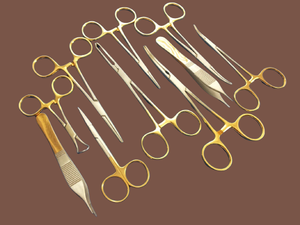 Juego de instrumentos quirúrgicos de esterilización veterinaria de acero inoxidable Premium, 10 Uds., Kit de instrumentos quirúrgicos felinos caninos con asas doradas reutilizables - Product Image 2