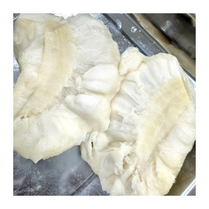 Vente en gros de haute qualité en vrac de purée de corossol congelée du Vietnam pour les fabricants de smoothie et de crème glacée de dessert dans le monde entier. - Product Image 1