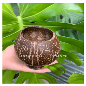 Hot Trending 2025 Coconut Shell Cup para beber bebidas de forma orgánica con logotipo grabado láser gratis hecho por Eco2go Vietnam - Product Image 2