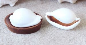 Coquillages de mer Egg Cowrie polis naturels, parfaits pour la création de bijoux DIY, les fournitures artisanales, la décoration de plage et les projets de mariage - Product Image 4