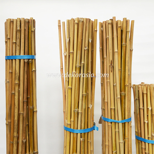 Strong Durable Natural Dry Bamboo Cendani Support Stakes <b>for</b> Climbing Plants Eco-friendly Custom Size <b>Garden</b> Decoration Plant - Product Image 4