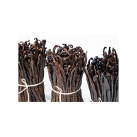 Fèves de vanille Tahitensis de qualité supérieure avec un arôme exotique d'Indonésie, parfaites pour les extractions