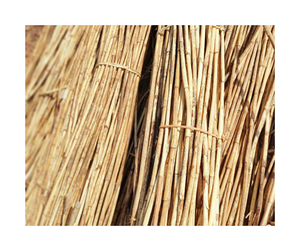 Exportateur de poteaux en rotin de haute qualité Surface polie du Vietnam et poteau en rotin à texture forte pour le tissage et l'utilisation de meubles - Product Image 1