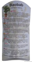 Kit petit Baobab (poudre, feuille, huile de baobab)