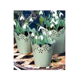 Conteneur de plantes en forme de seau de jardinières en métal classiques pour jardinières de décoration intérieures et extérieures à un prix abordable - Product Image 2