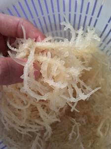 Mousses marines séchées aromatisées et assaisonnées 100% naturelles Eucheuma Cottonii en sachet, bon pour les humains, Mme Serena - Product Image 2