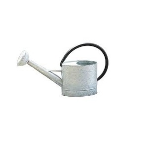 Maceta Hogar Flor Boca larga Hortícola Rociador pequeño Regadera Recipiente de agua Litro Metal Lite - Product Image 3