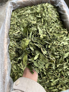 Hoja de Stevia para Mezclas Directas, Hojas Frescas y Limpias, Sabor Dulce y Equilibrado, Cadena de Suministro Confiable - Product Image 6