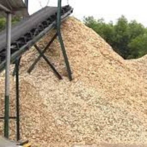 Premium 100% naturel écologique Vietnam copeaux de bois de haute qualité doux et absorbant déchets agricoles pour la literie des animaux - Product Image 5