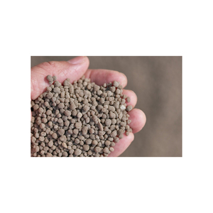 Engrais granulaire Big Brand 16% Single Superphosphate (SSP) de haute qualité DAP et Rock Phosphate Top TSP Product - Product Image 6