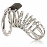 IRISCO IR-4114 Cage en acier personnalisable en forme de serpent, crochet anal, dispositif de chasteté masculin - Jouet sexuel de haute qualité en gros, logo personnalisé OEM