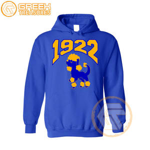 Sudadera con capucha de lana de algodón Sigma Gamma Rho personalizada de alta calidad, sudadera de hermandad bordada para mujer, ropa griega - Product Image 3