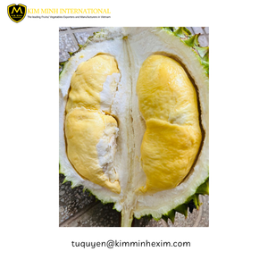 Haute qualité IQF congelé Durian fruits entiers Mongthong/RI6 Vietnam processus de conservation de l'eau de qualité d'exportation en vrac International - Product Image 1