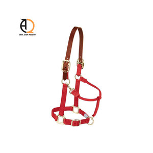 Harnais complet en cuir pour cheval, design personnalisé, équitation, course de chevaux, selle western, haute qualité - Product Image 2