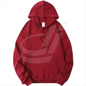 Sudadera con capucha para hombre, prenda deportiva masculina de algodón 320 con LOGO personalizado, 100% gramos, venta al por mayor, ODM/OEM - Product Image 3