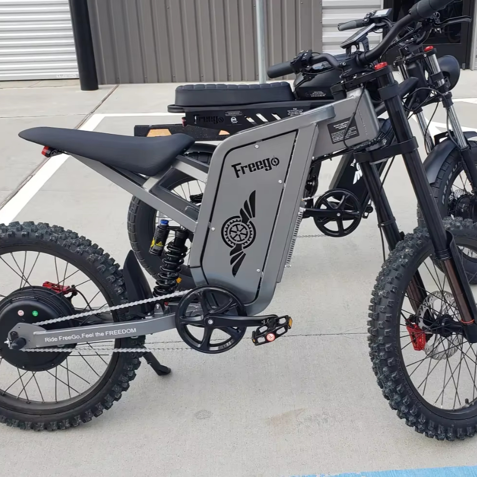 Freego Electric Bikes Versatile, Foldable, and Powerful