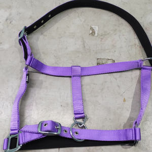 Cabestro para Caballo Ecuestre con Acolchado Suave, Herrajes de Hierro Duraderos, Tamaño Ajustable y Logotipo Personalizado - Product Image 6